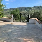 Mattia Vila