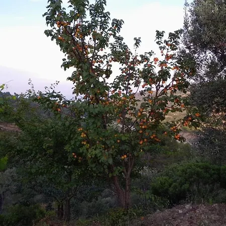 Villa Mattia Montegiordano