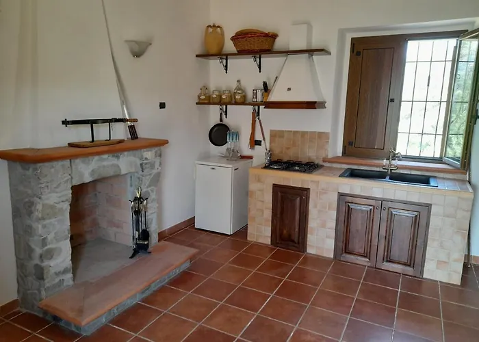 Mattia Montegiordano