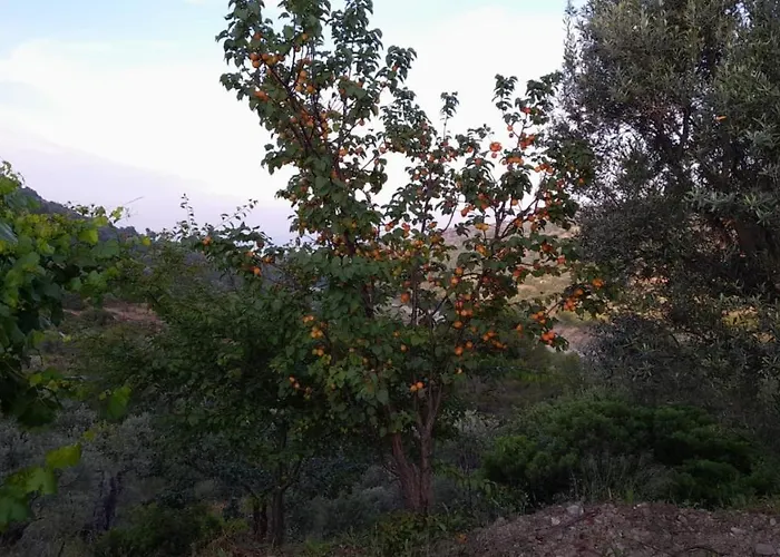 Villa Mattia Montegiordano